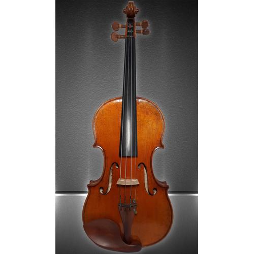 Violin (Biola) Raul Emiliani VL-928