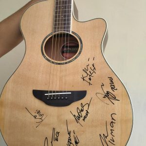 Gitar Akustik Yamaha APX 600 + Tanda Tangan Asli Maliq & D' Essential.