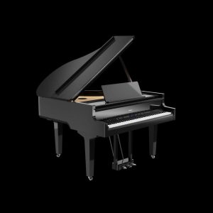Roland Piano GM9M PE ( Polished Ebony )